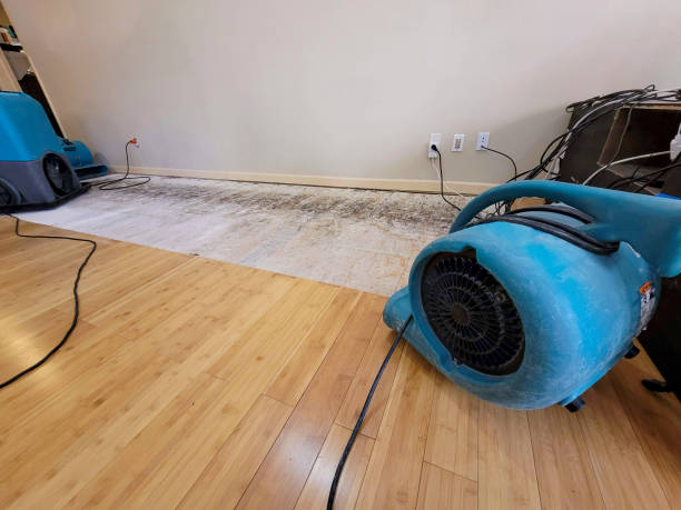 Professional Water Damage Repair technician working in Covington, OH